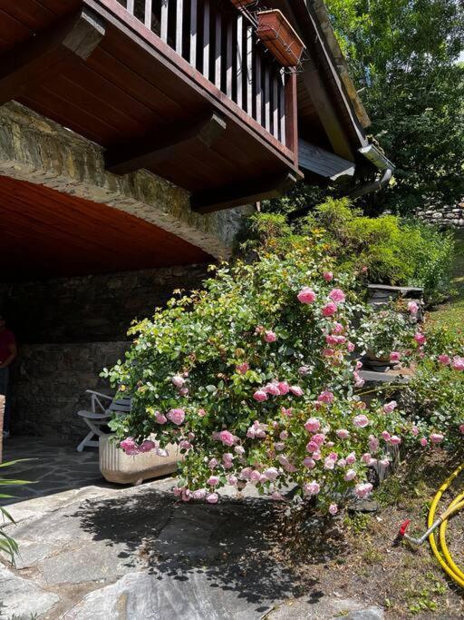 Chalet Cheverel Remondey Kültér fotó